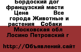 Бордоский дог ( французский масти)  › Цена ­ 50 000 - Все города Животные и растения » Собаки   . Московская обл.,Лосино-Петровский г.